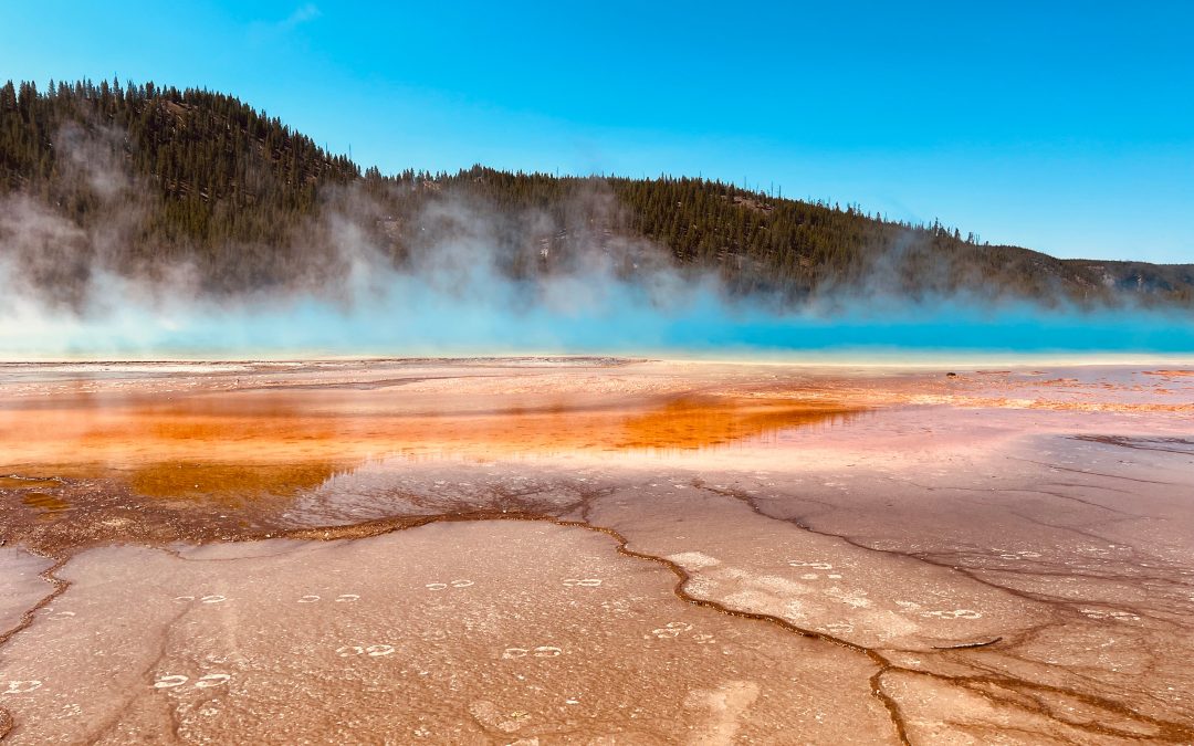 MÉTAMORPHOSE: TERRES DE FEUX