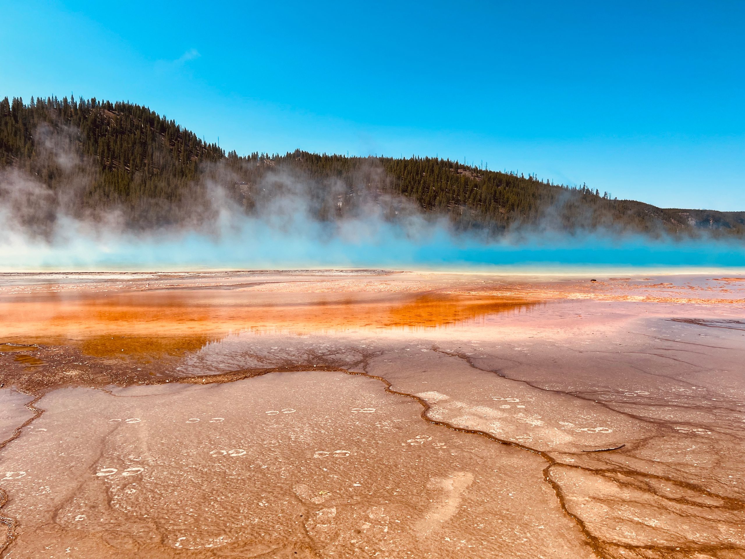 MÉTAMORPHOSE: TERRES DE FEUX